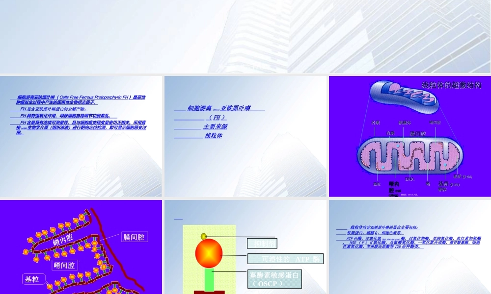 2022年医学专题—细胞游离亚铁原卟啉检测技术资料(1).ppt