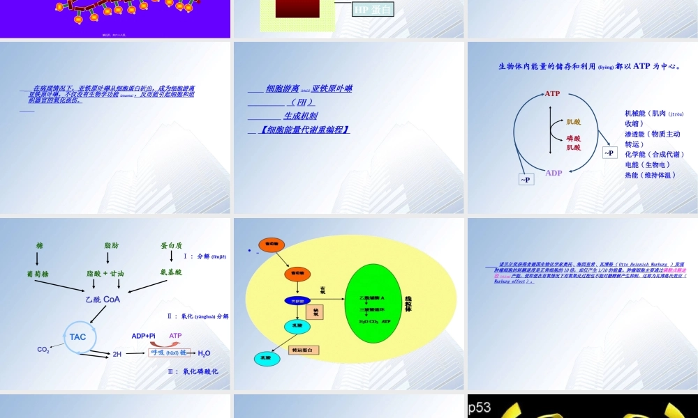 2022年医学专题—细胞游离亚铁原卟啉检测技术资料(1).ppt