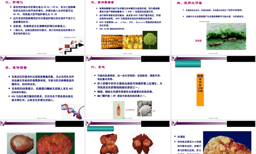 原发性肝癌诊疗规范解读与最新进展(1).pptx