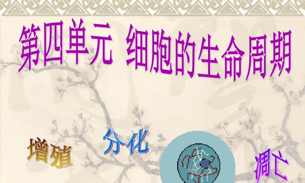 细胞的生命周期.ppt(1).ppt