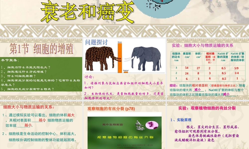 细胞的生命周期.ppt(1).ppt