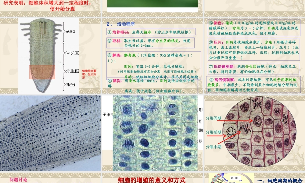 细胞的生命周期.ppt(1).ppt
