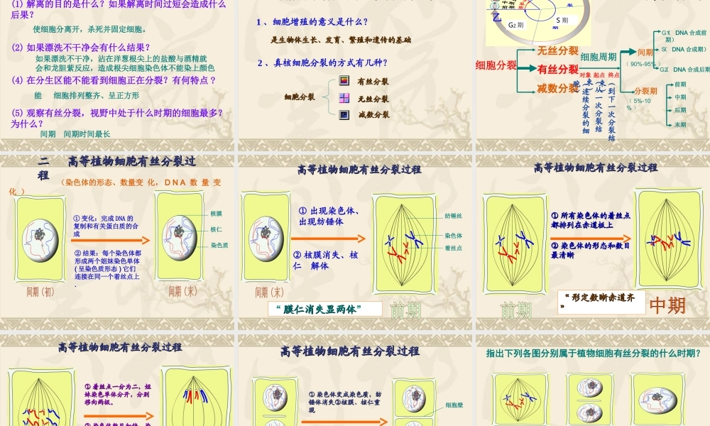 细胞的生命周期.ppt(1).ppt