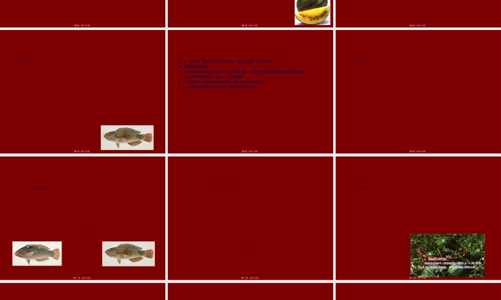 2022年医学专题—消化系统与营养(1).ppt