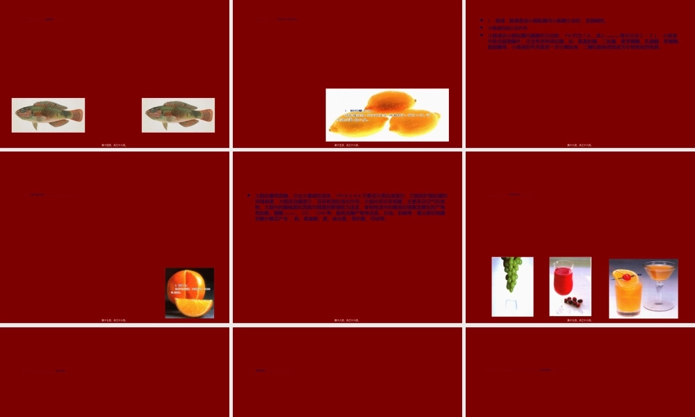 2022年医学专题—消化系统与营养(1).ppt