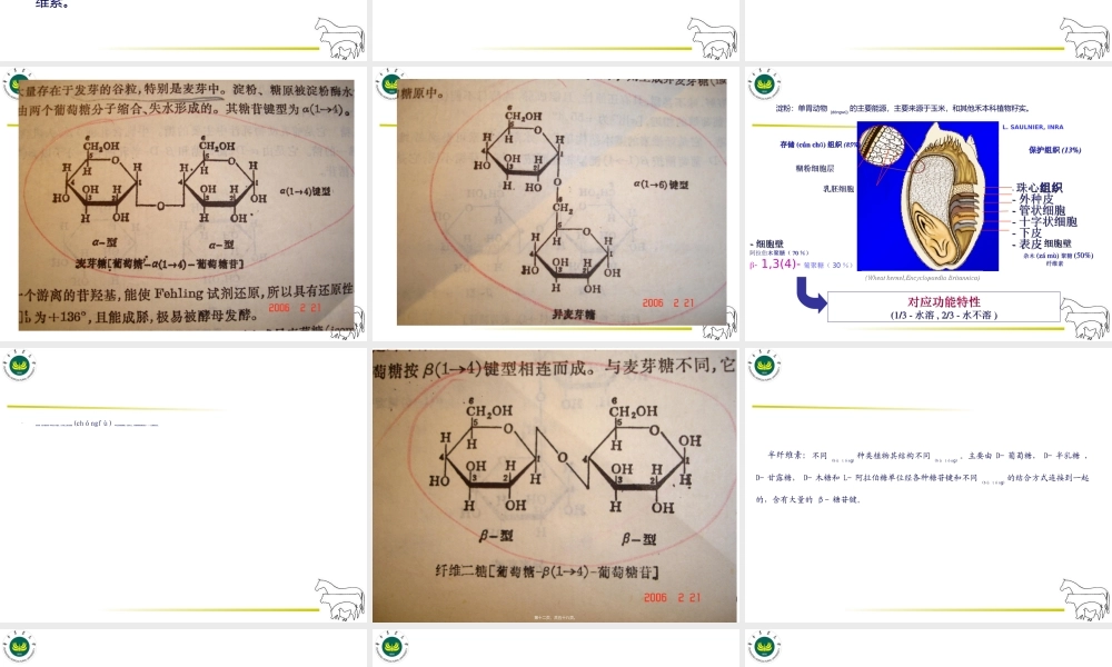 2022年医学专题—碳水化合物营养(1).ppt