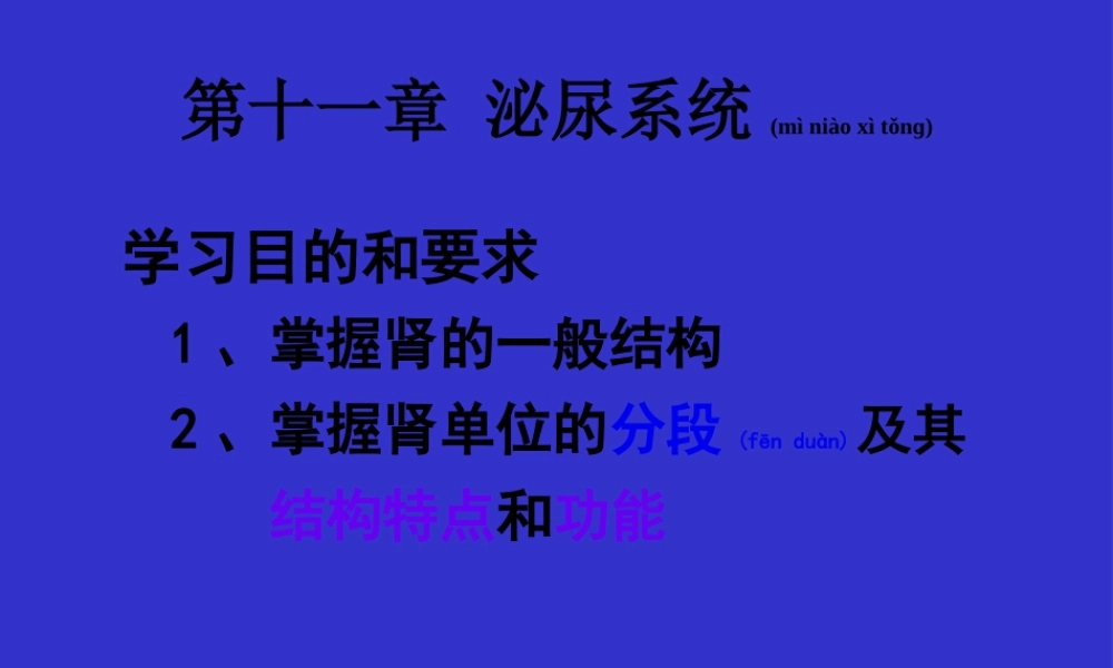 2022年医学专题—组织学与胚胎学-泌尿系统(1).ppt