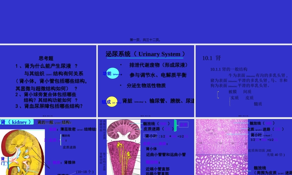 2022年医学专题—组织学与胚胎学-泌尿系统(1).ppt