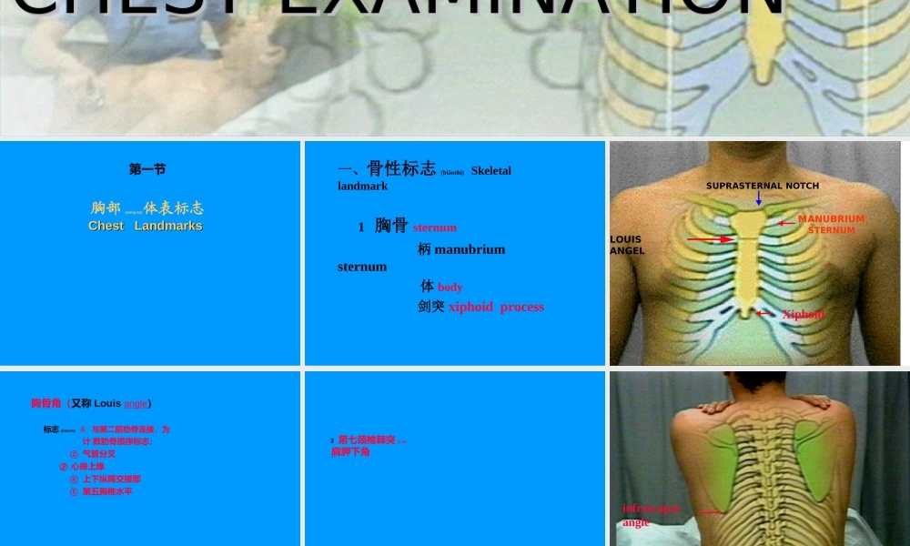 2022年医学专题—胸部检查—肺2(附件)(1).ppt