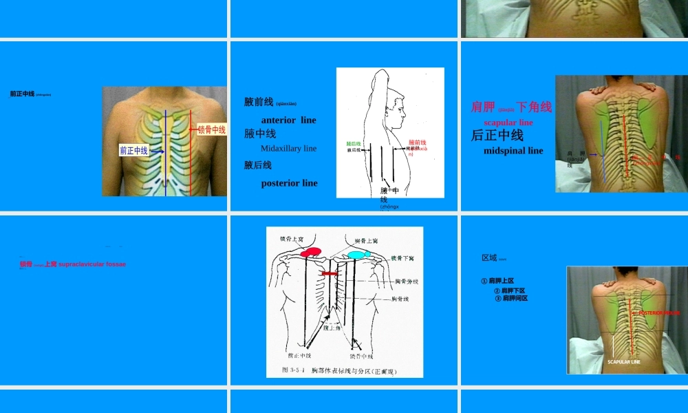 2022年医学专题—胸部检查—肺2(附件)(1).ppt