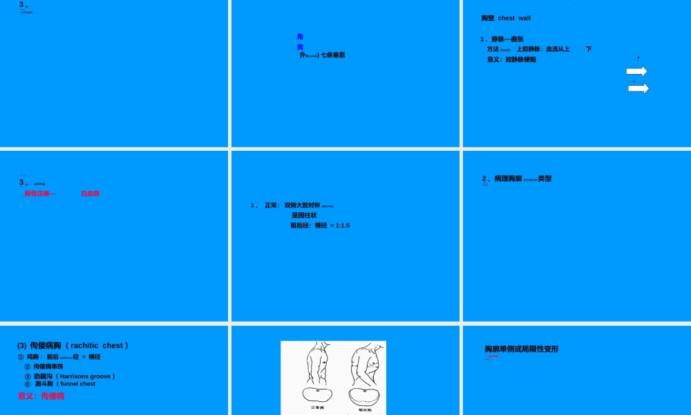 2022年医学专题—胸部检查—肺2(附件)(1).ppt