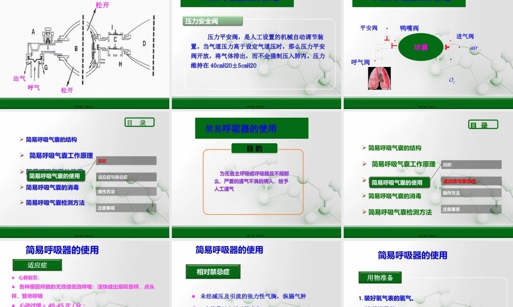 呼吸器的使用(1).pptx