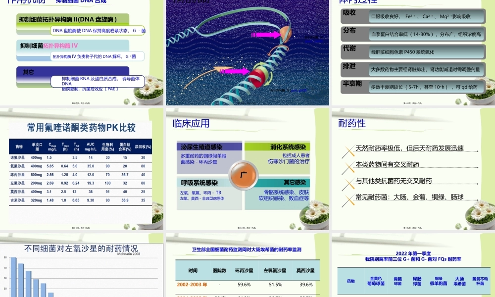 喹诺酮类抗菌药2013-4-25(1)(1).pptx