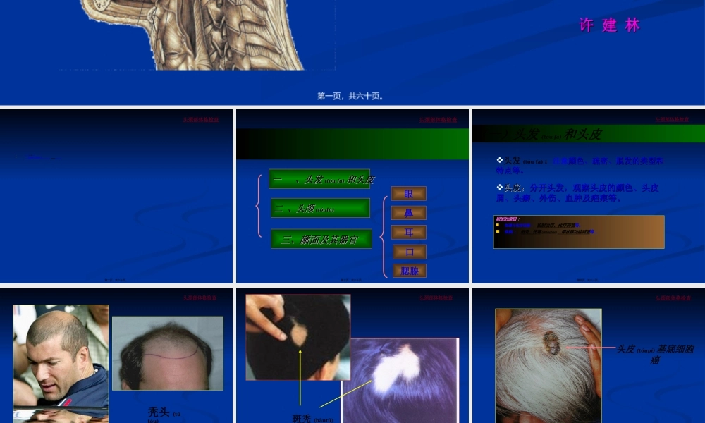 2022年医学专题—头颈部体格检查(经典)(1).ppt