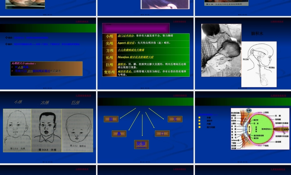 2022年医学专题—头颈部体格检查(经典)(1).ppt