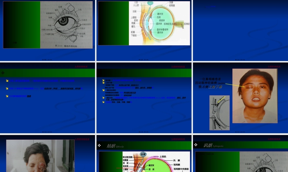 2022年医学专题—头颈部体格检查(经典)(1).ppt