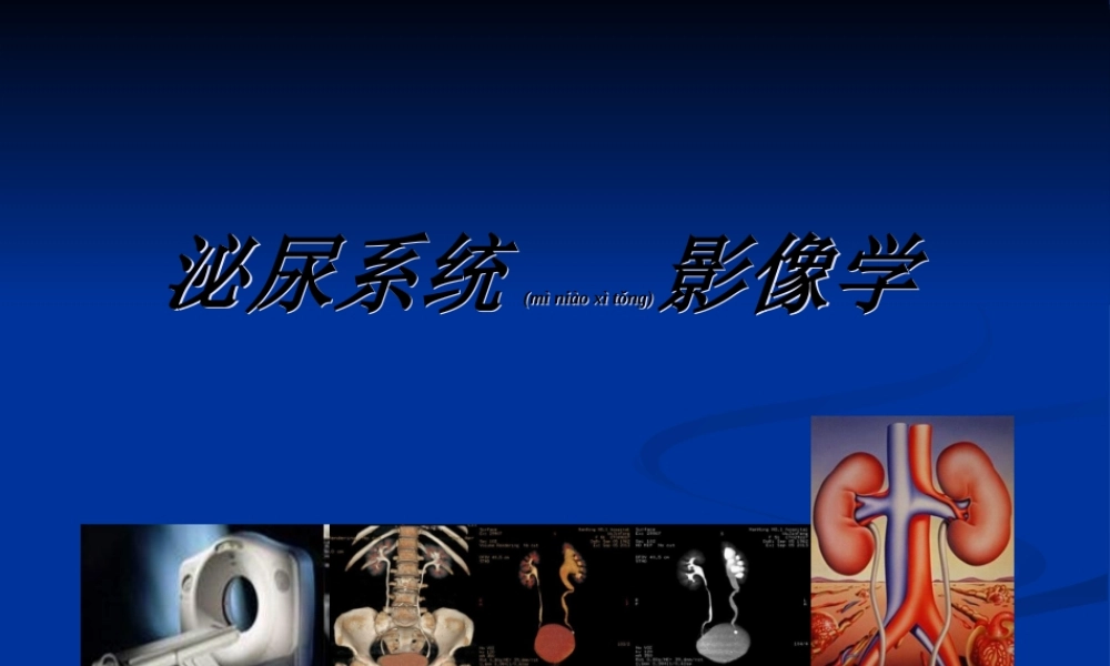 2022年医学专题—影像学——泌尿系统PPT(1).ppt