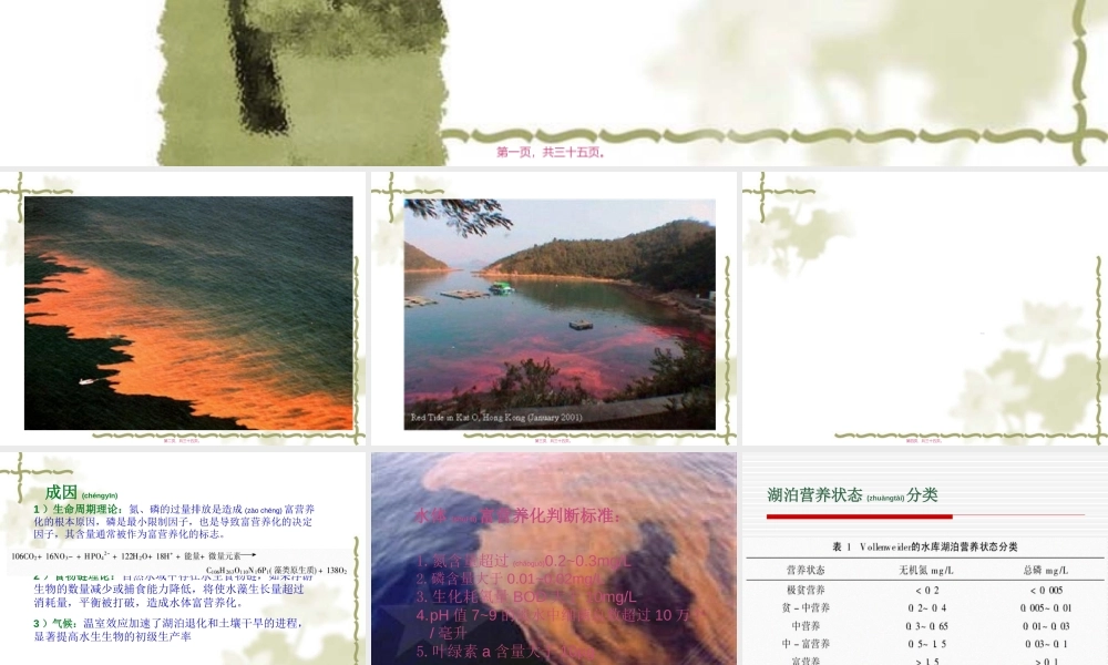 2022年医学专题—水体富营养化标准(1).ppt