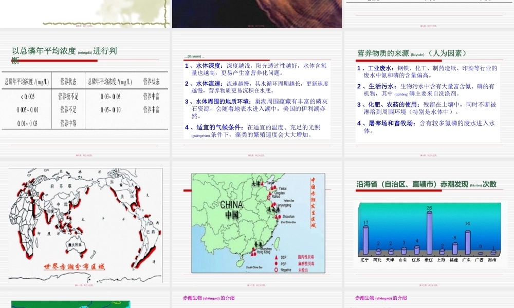2022年医学专题—水体富营养化标准(1).ppt