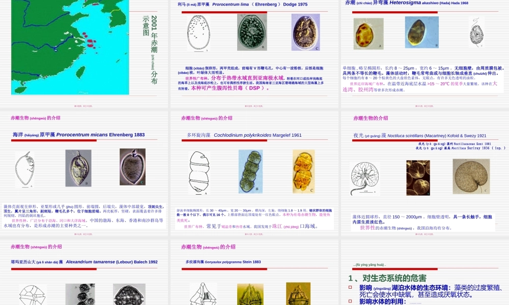 2022年医学专题—水体富营养化标准(1).ppt