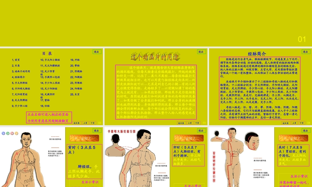 实用的人体经脉动画片(1).ppt