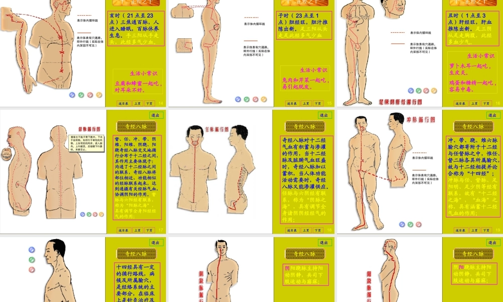 实用的人体经脉动画片(1).ppt