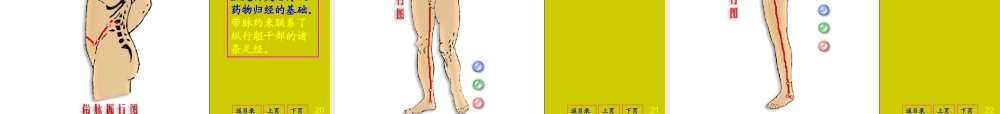 实用的人体经脉动画片(1).ppt