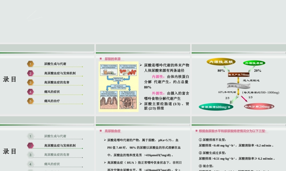 尿酸代谢11(1).ppt