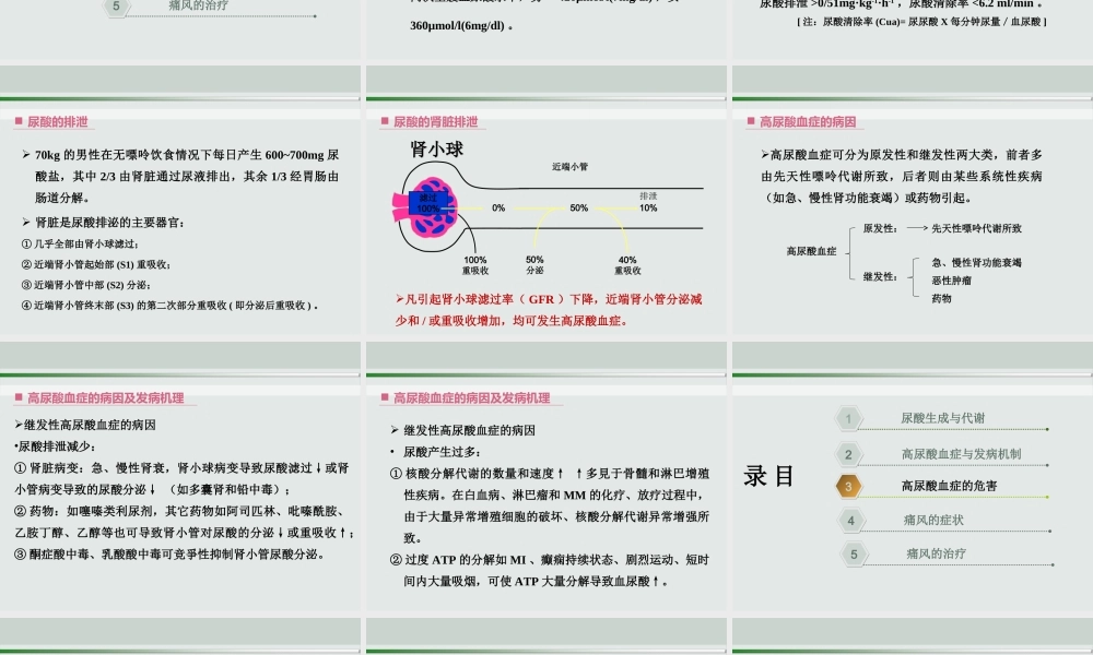 尿酸代谢11(1).ppt