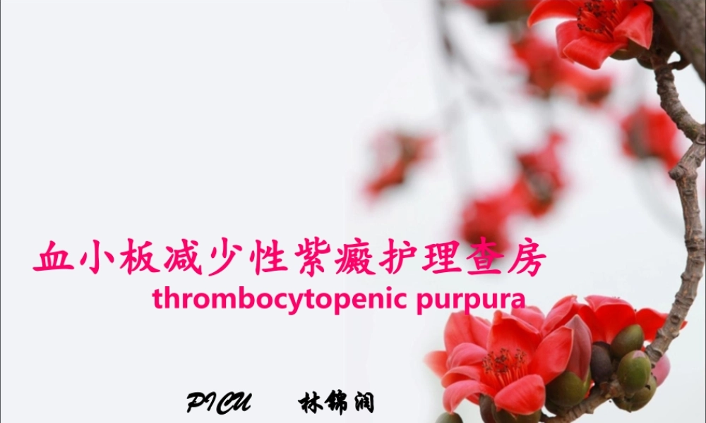 血小板减少性紫癜查房(1).ppt
