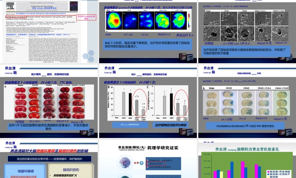 2022年医学专题—养血清脑颗粒--慢性脑缺血(1).ppt