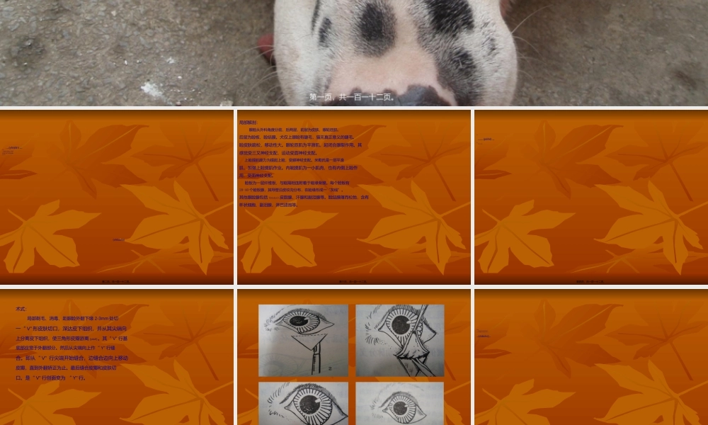 2022年医学专题—外科(1).ppt