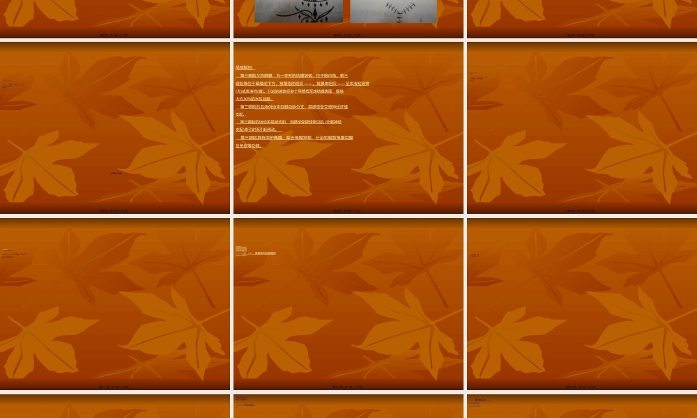 2022年医学专题—外科(1).ppt