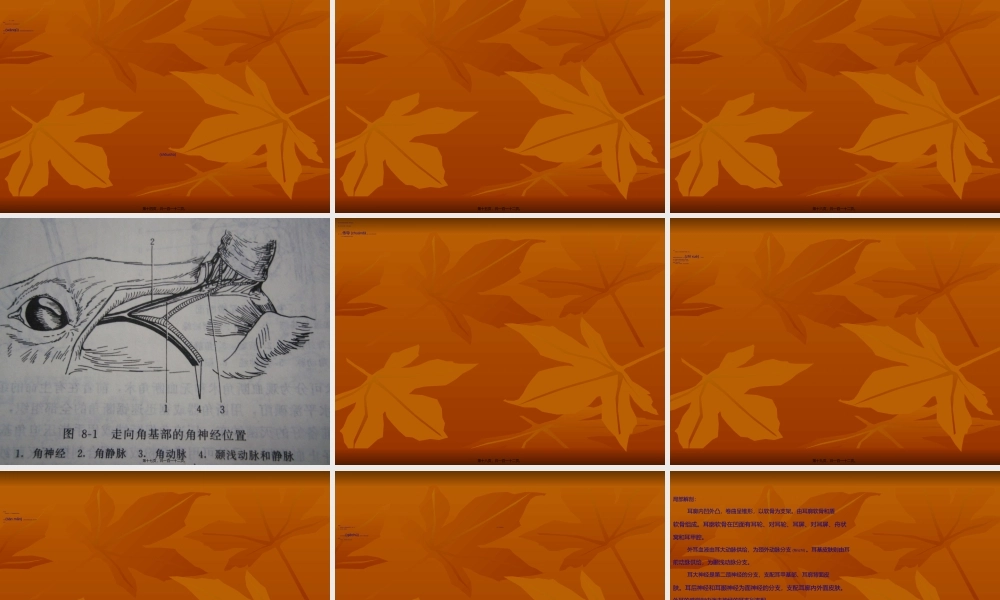 2022年医学专题—外科(1).ppt