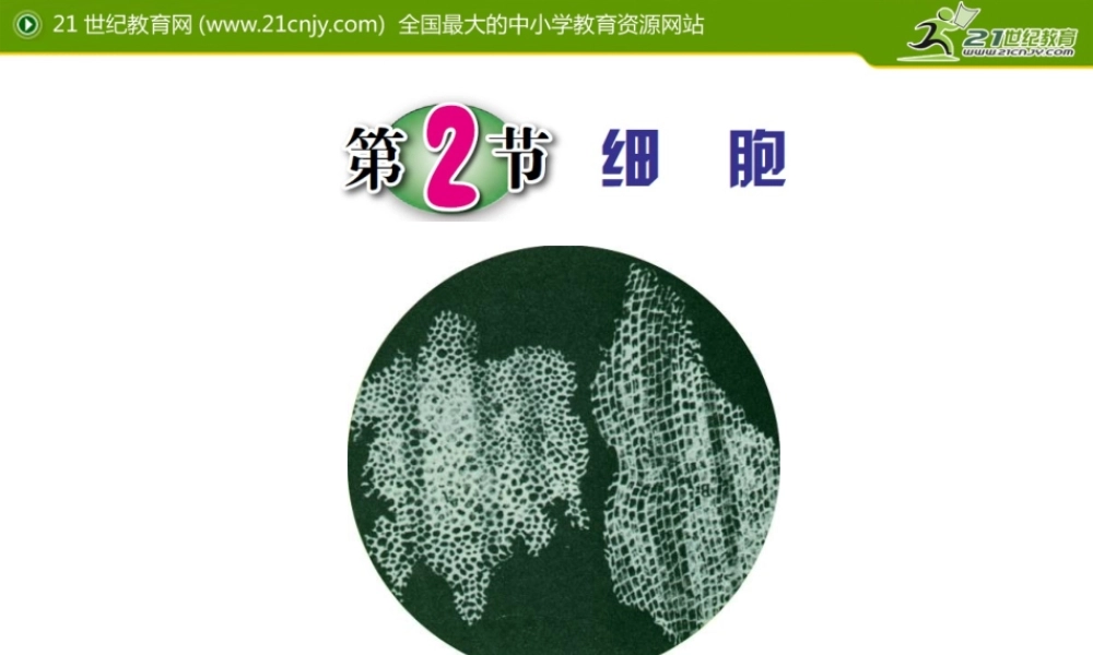 细胞的发现及结构(1).ppt