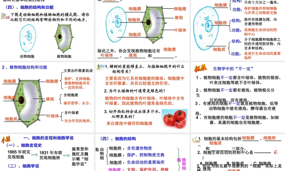 细胞的发现及结构(1).ppt