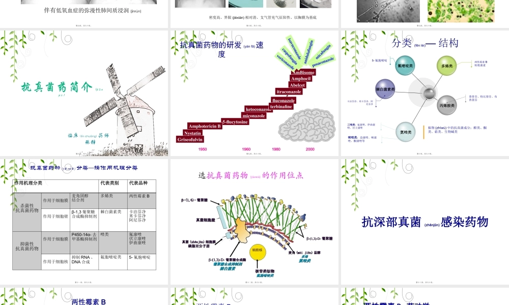 2022年医学专题—真菌药(1).pptx