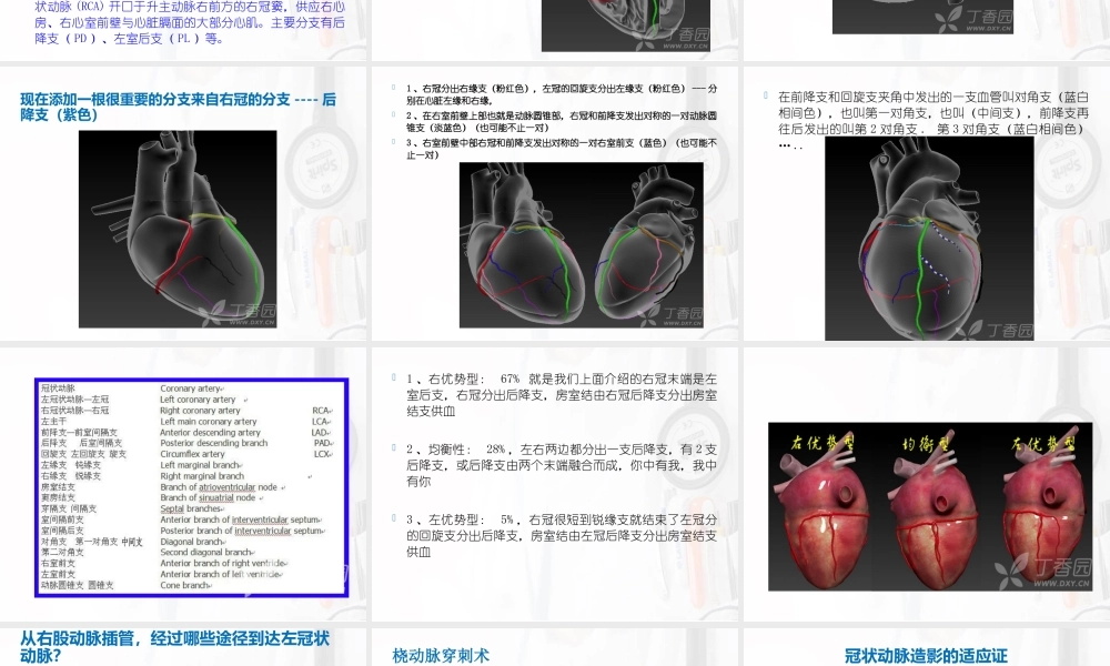 冠心病搭桥手术(1).ppt