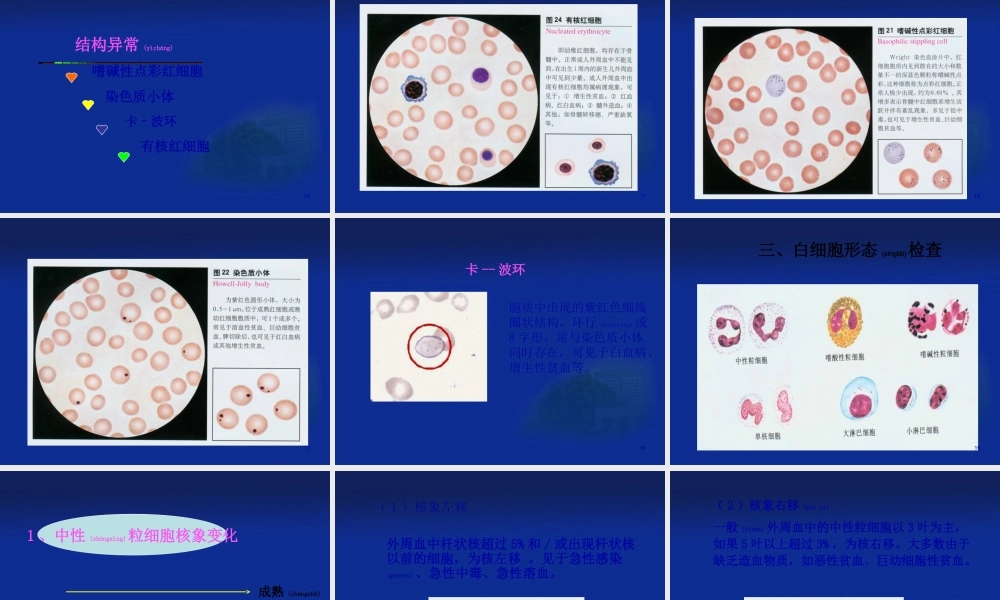 2022年医学专题—一般血液学检验(1).ppt