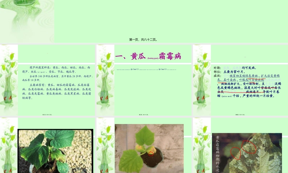 2022年医学专题—王琳葫芦科病害(1).ppt