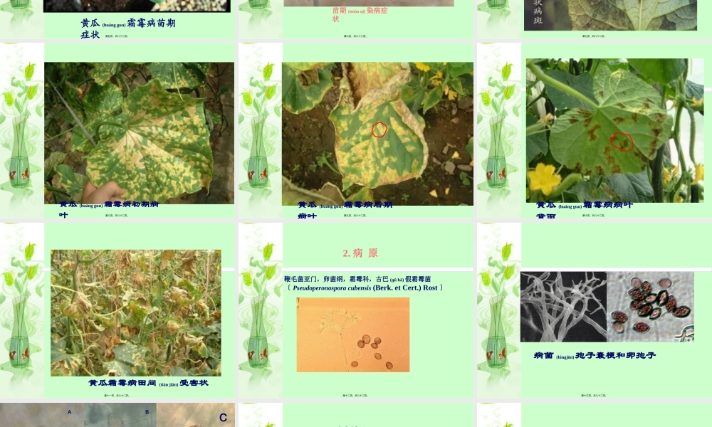 2022年医学专题—王琳葫芦科病害(1).ppt