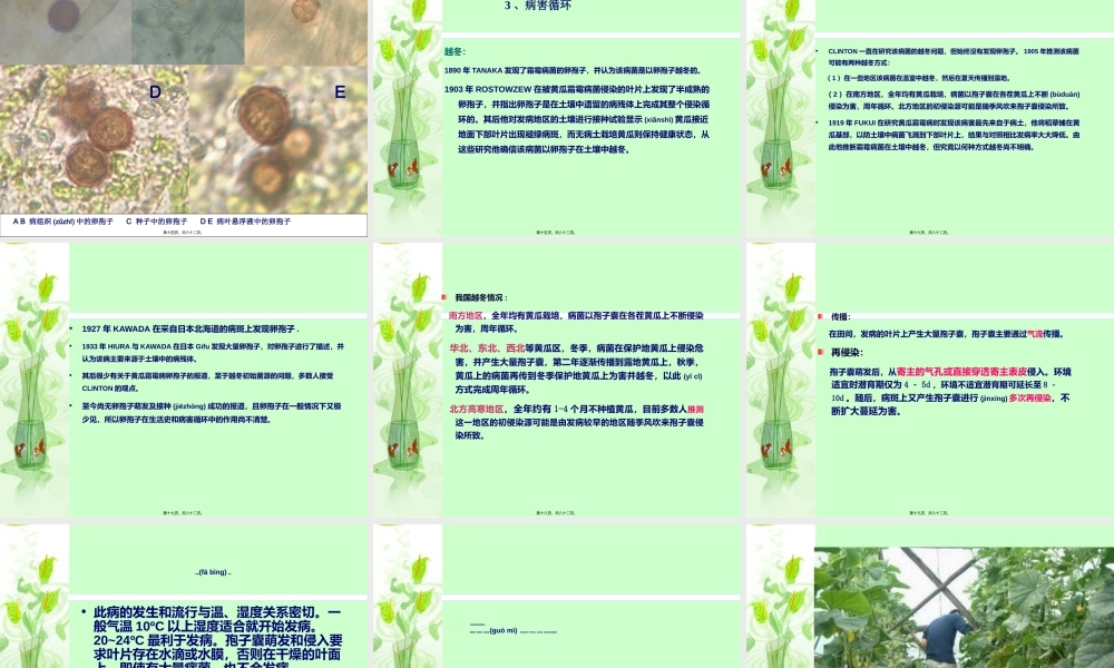 2022年医学专题—王琳葫芦科病害(1).ppt