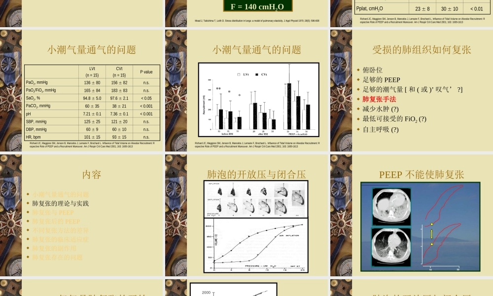 ARDS患者的肺复张[1](1).ppt