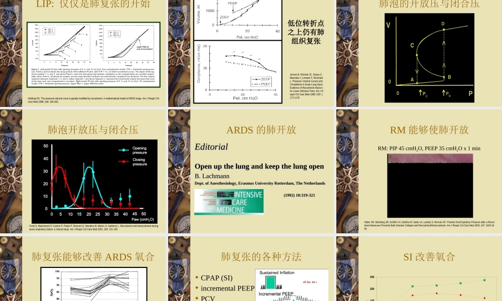 ARDS患者的肺复张[1](1).ppt
