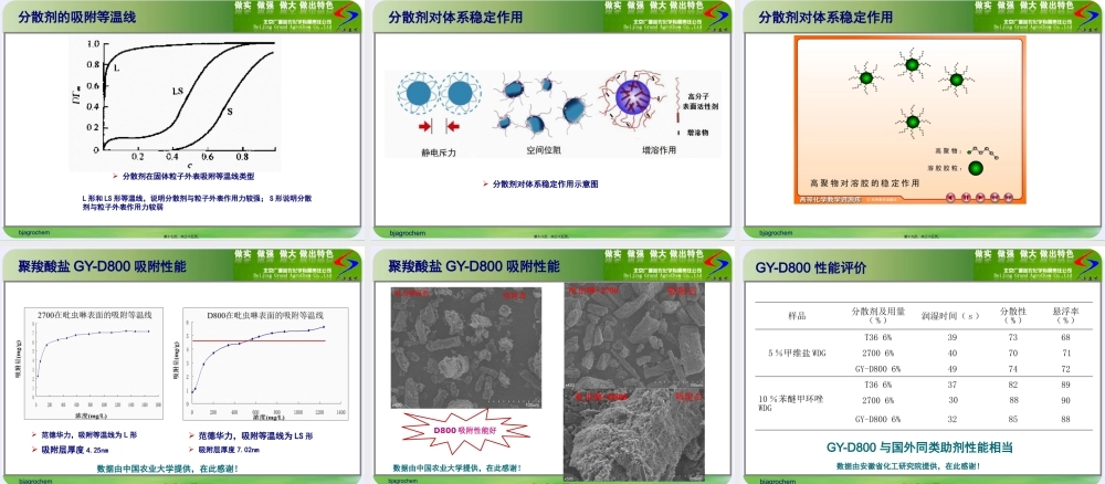 农药分散剂的开发及应用-青岛20130821(1).pptx