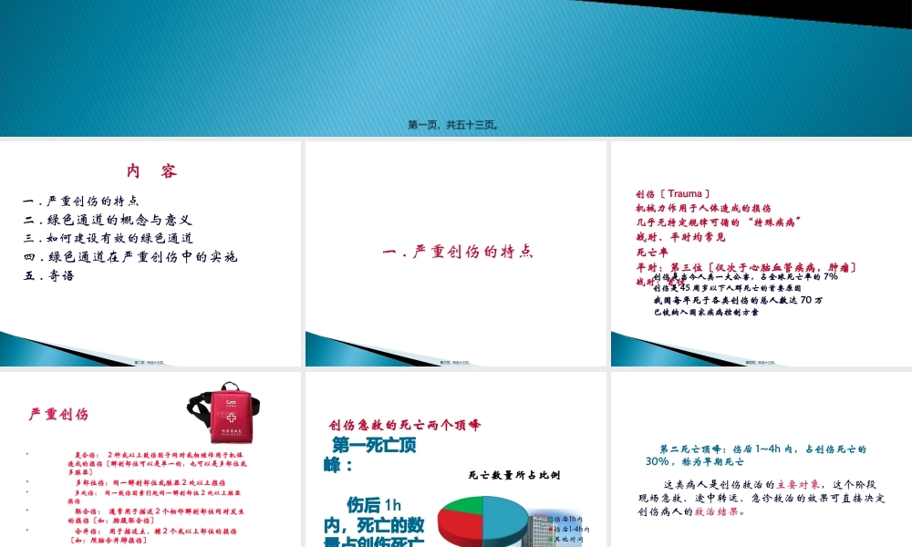 创伤绿色通道的建设(1).pptx