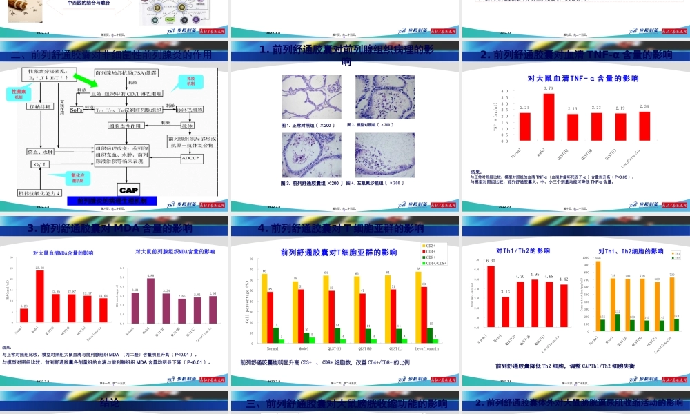 前列舒通胶囊-前列腺炎(1).pptx