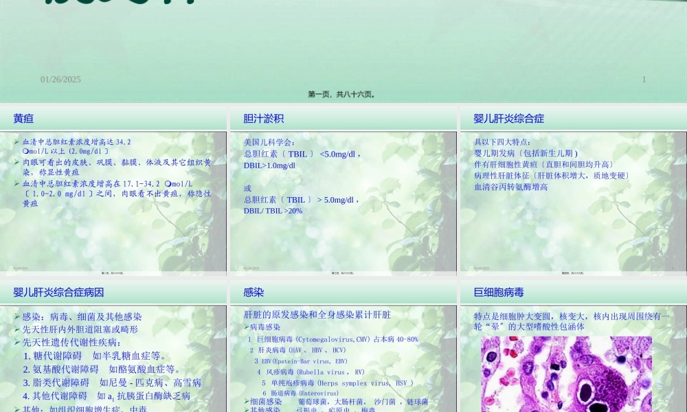 婴儿肝炎综合症白欣立(1).pptx