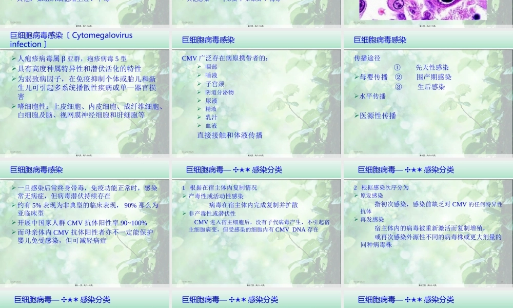 婴儿肝炎综合症白欣立(1).pptx