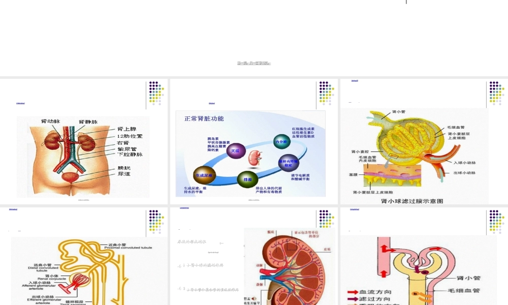 2022年医学专题—尿液检查分析(1).ppt